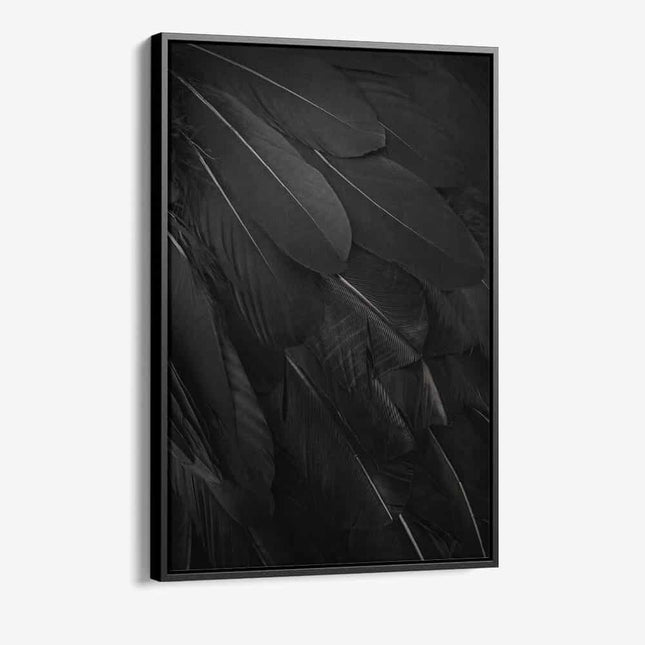 "Black Feathers"