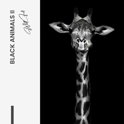 Bundle: "Black Animals" (2x) – Glass