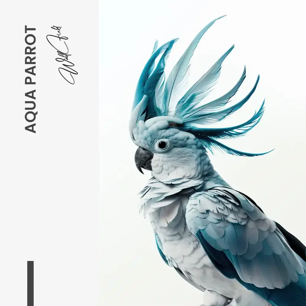 Aqua Parrot – Vidrio