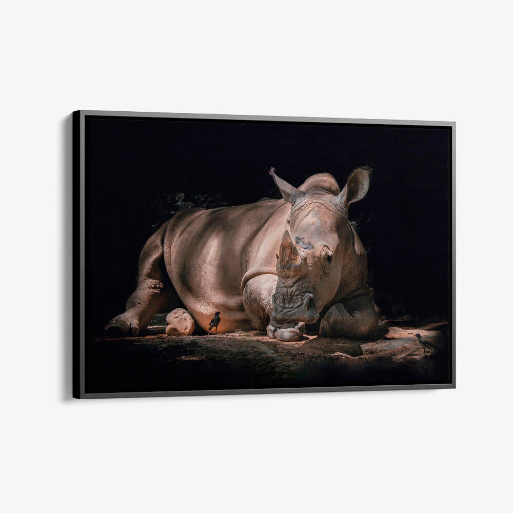 "Rhino"