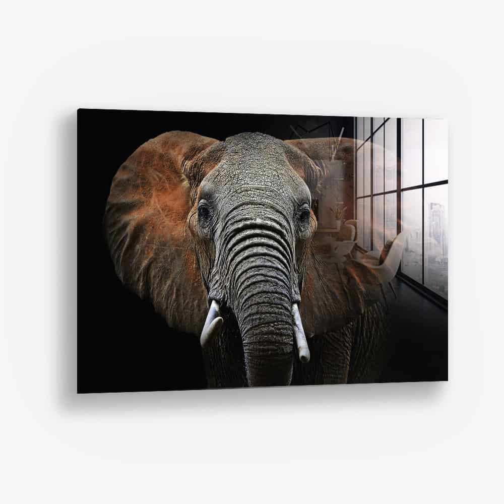 Wild Elephant – Vidrio