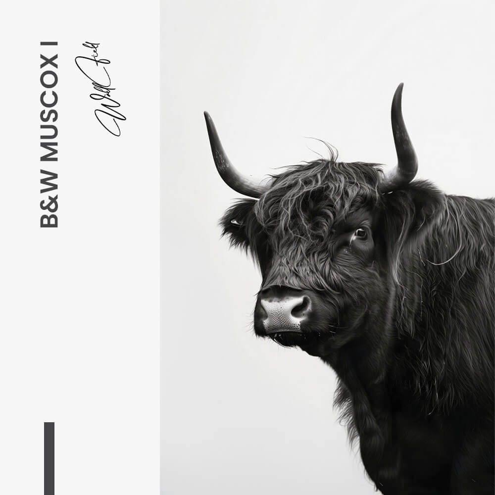 Bundle: "B&W Muscox" (2x) – Vidrio
