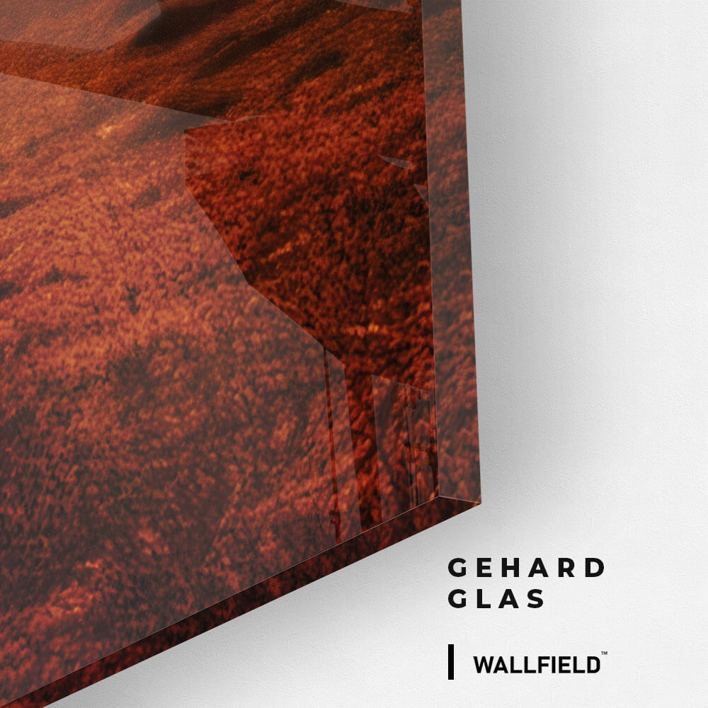 Elephant On The Road - Vidrio