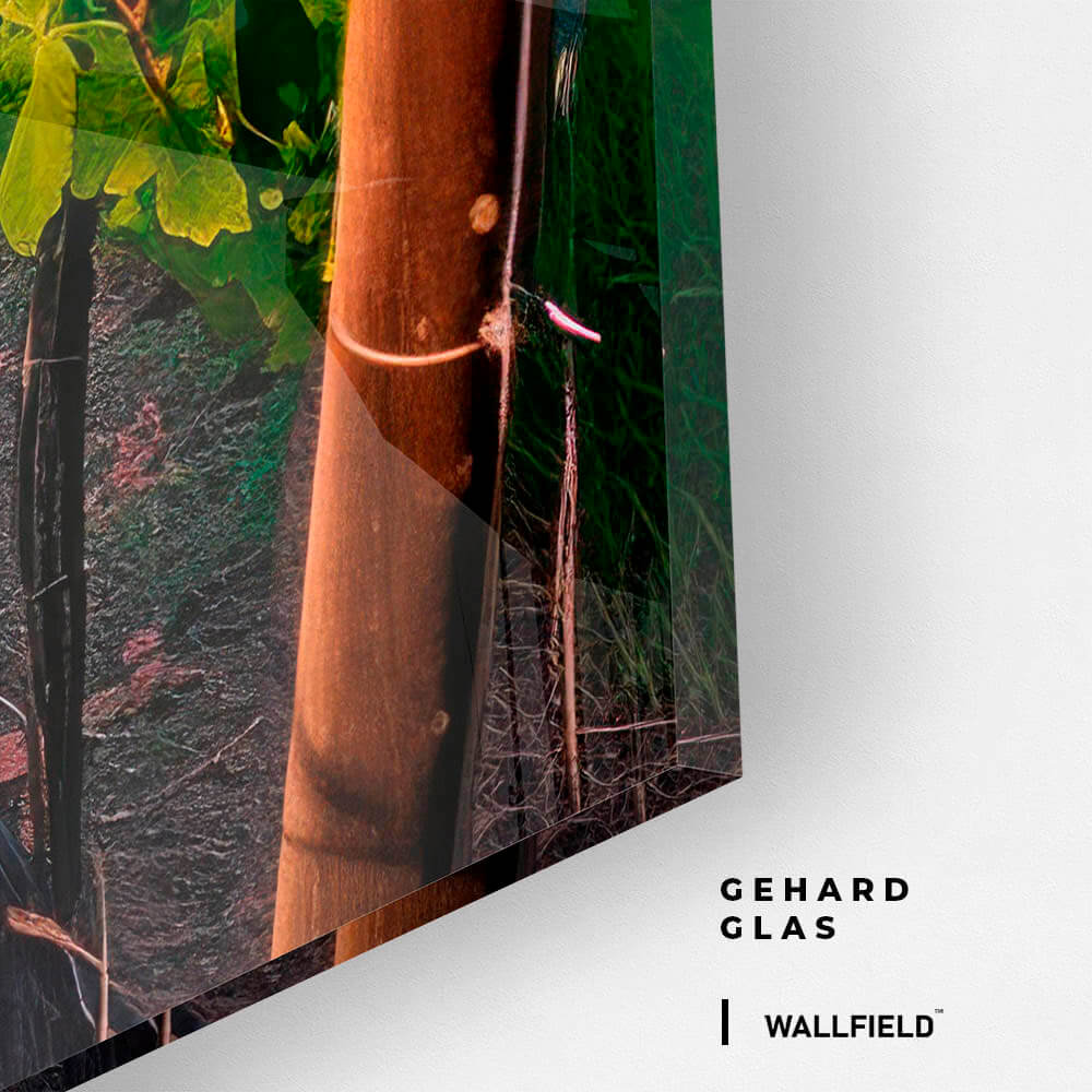 Vineyard – Vidrio