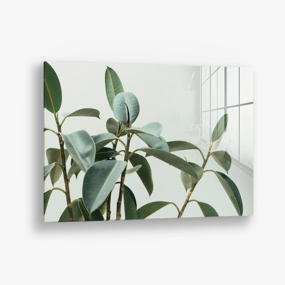 Soft Structure – Glass