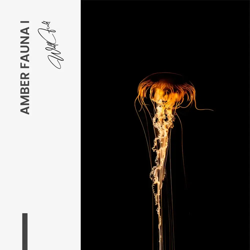 Amber Fauna I – Vidrio