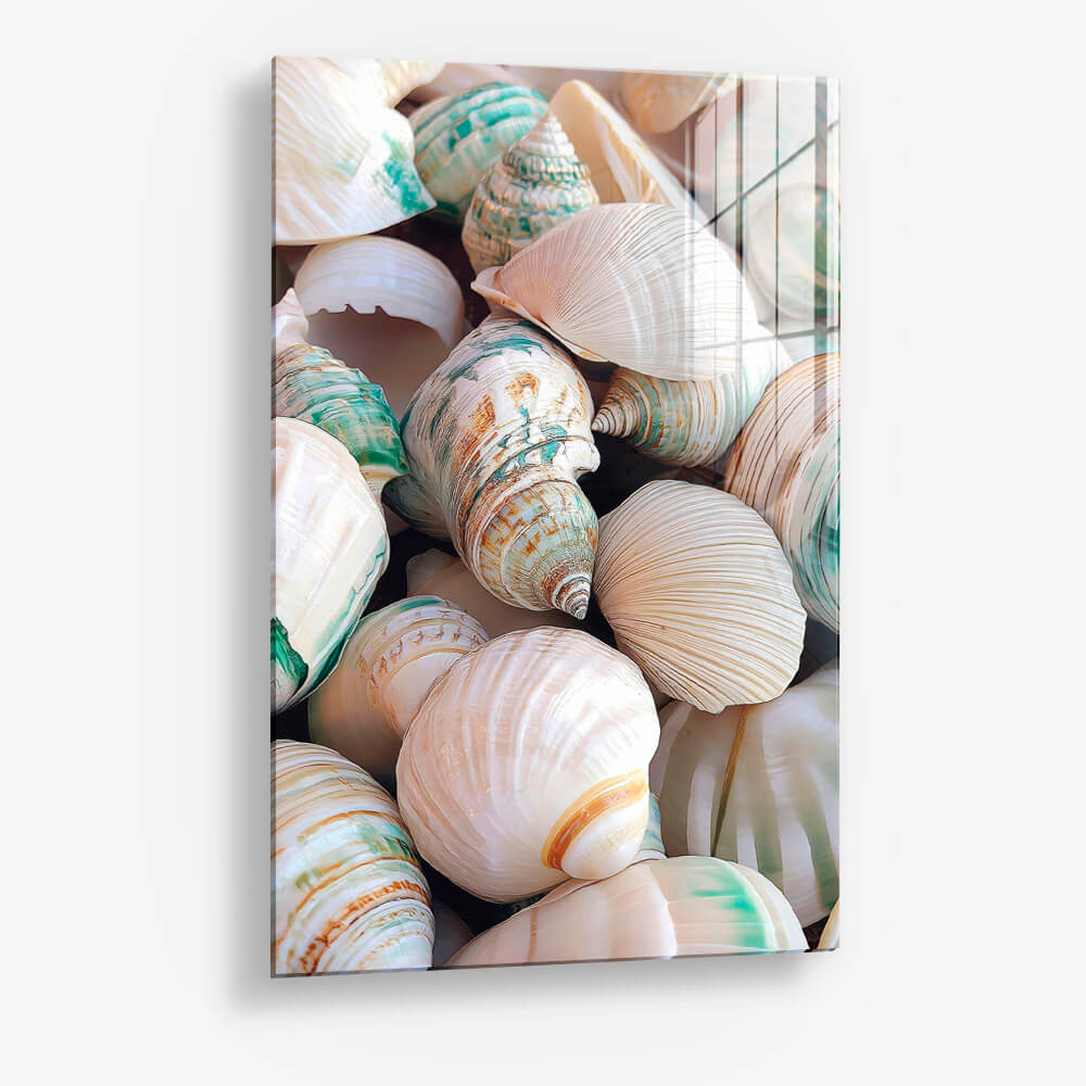 Sea Shell – Vidrio