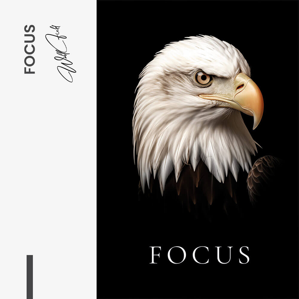 Focus – Vidrio