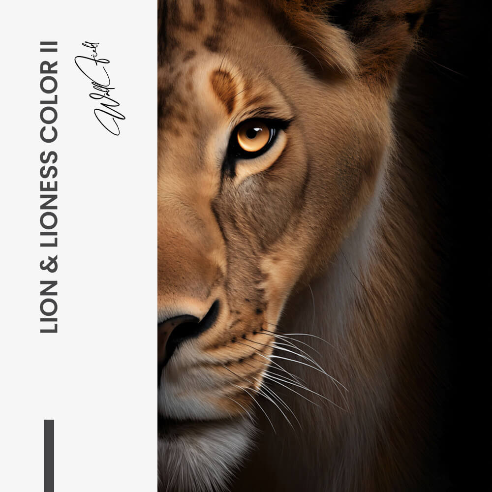 Bundle: "Lion & Lioness Color II" (2x) – Vidrio