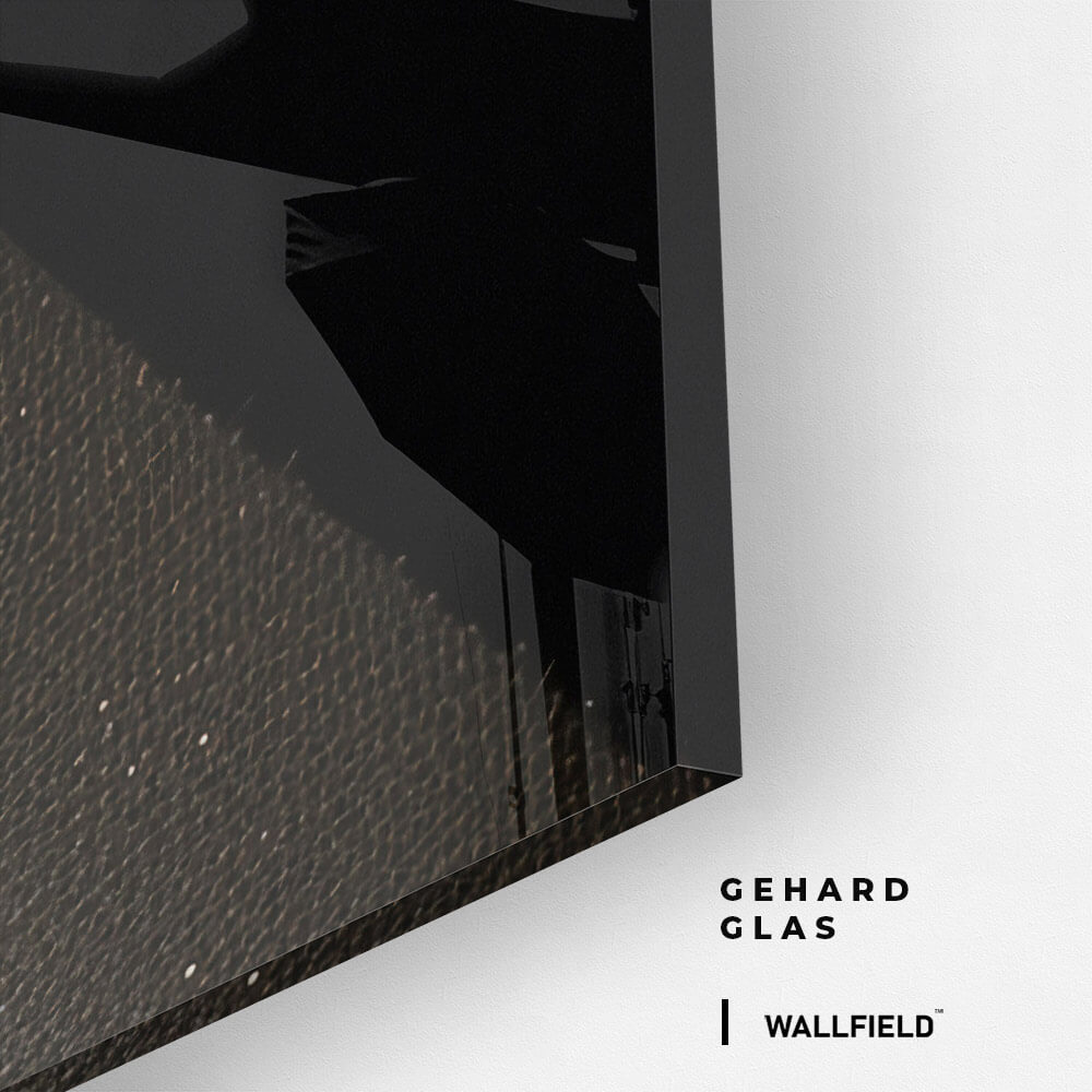 Golden Parrot – Vidrio