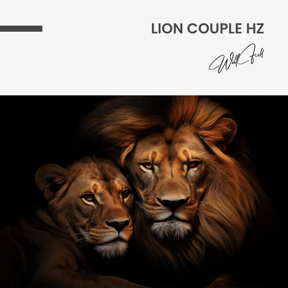 Lion Couple HZ – Vidrio