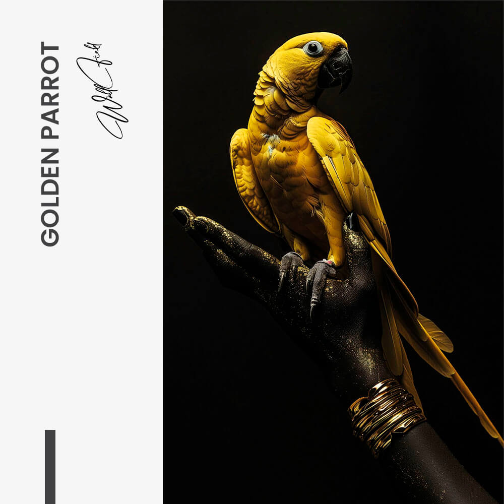 Golden Parrot – Vidrio