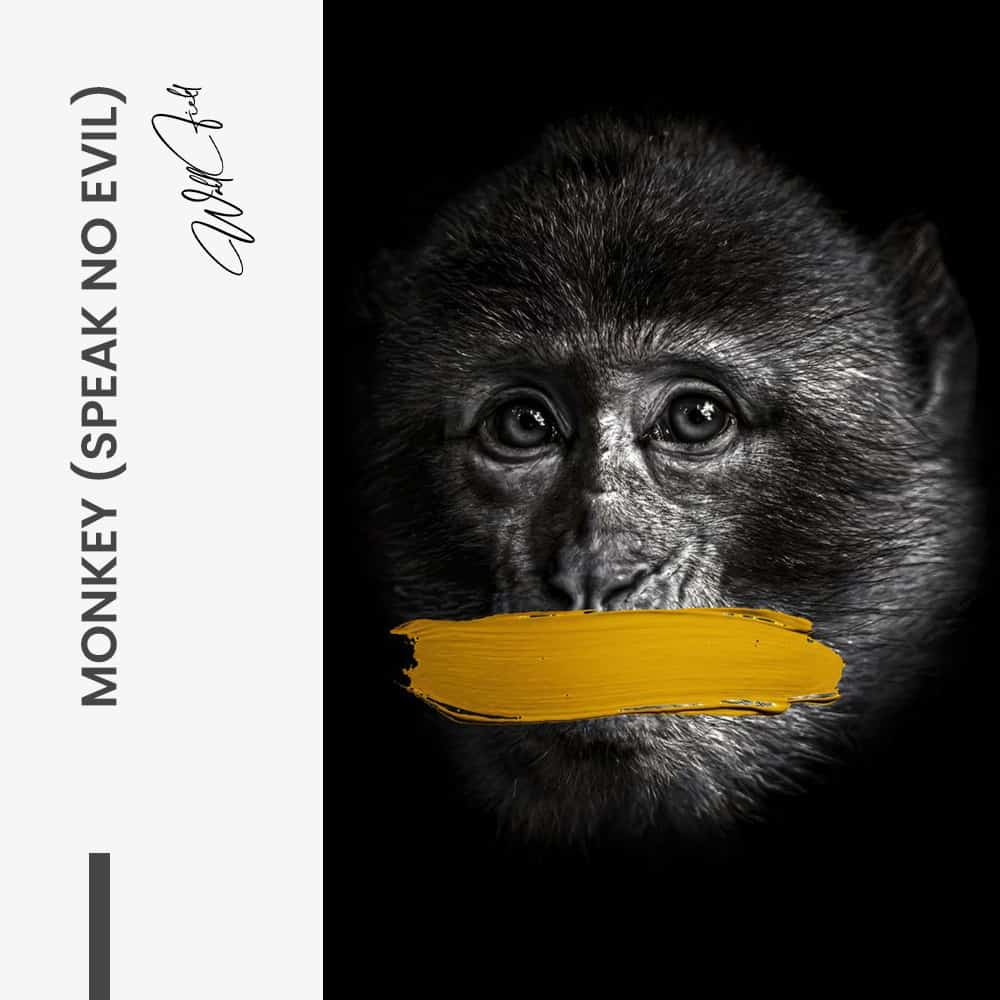 Bundle: “3 Wise Monkeys” (3x) - Vidrio