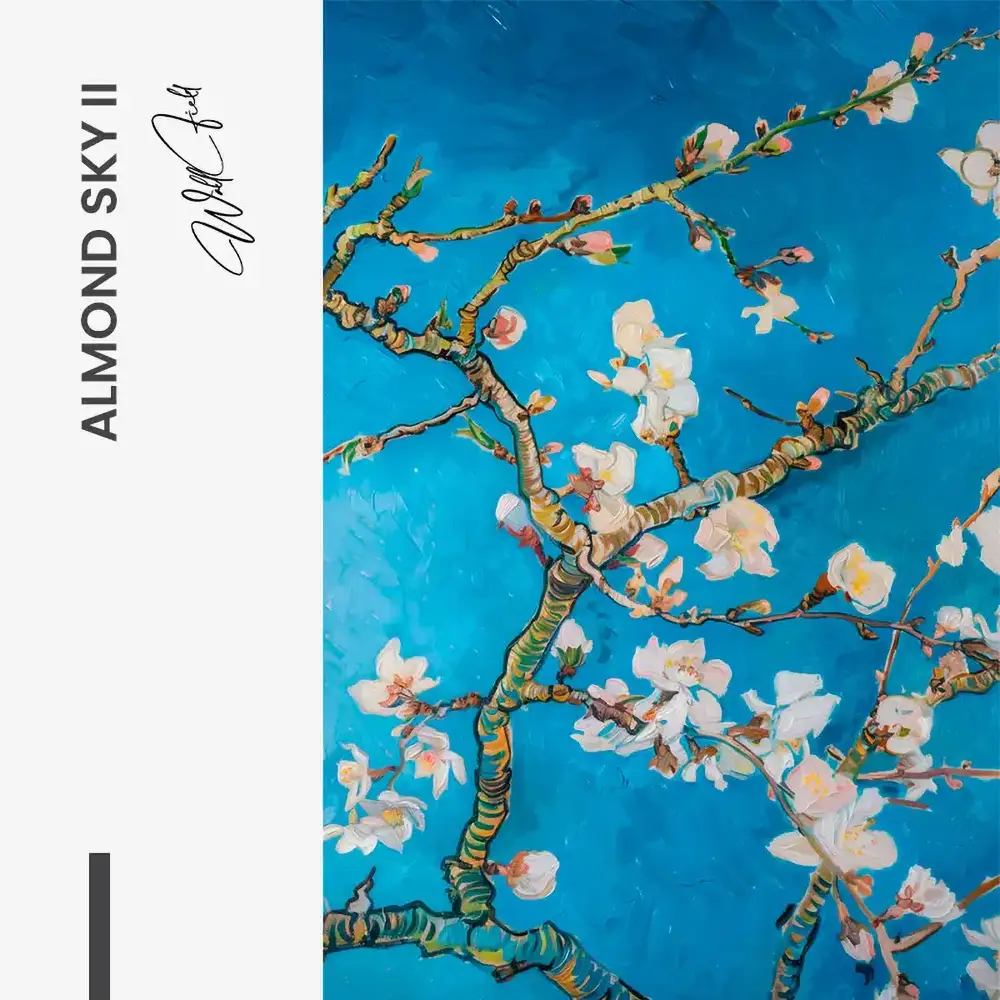 Bundle Almond Sky (2x) – Vidrio