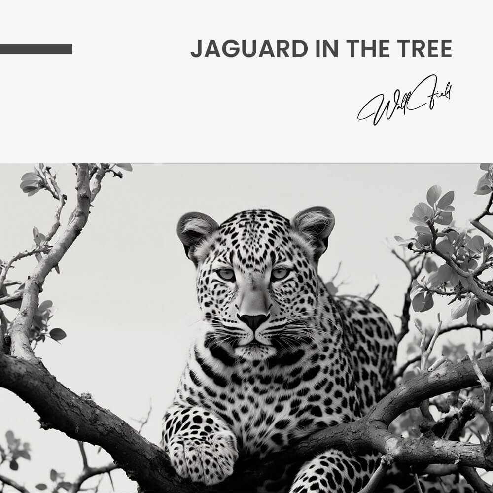 Jaguard In The Tree – Vidrio