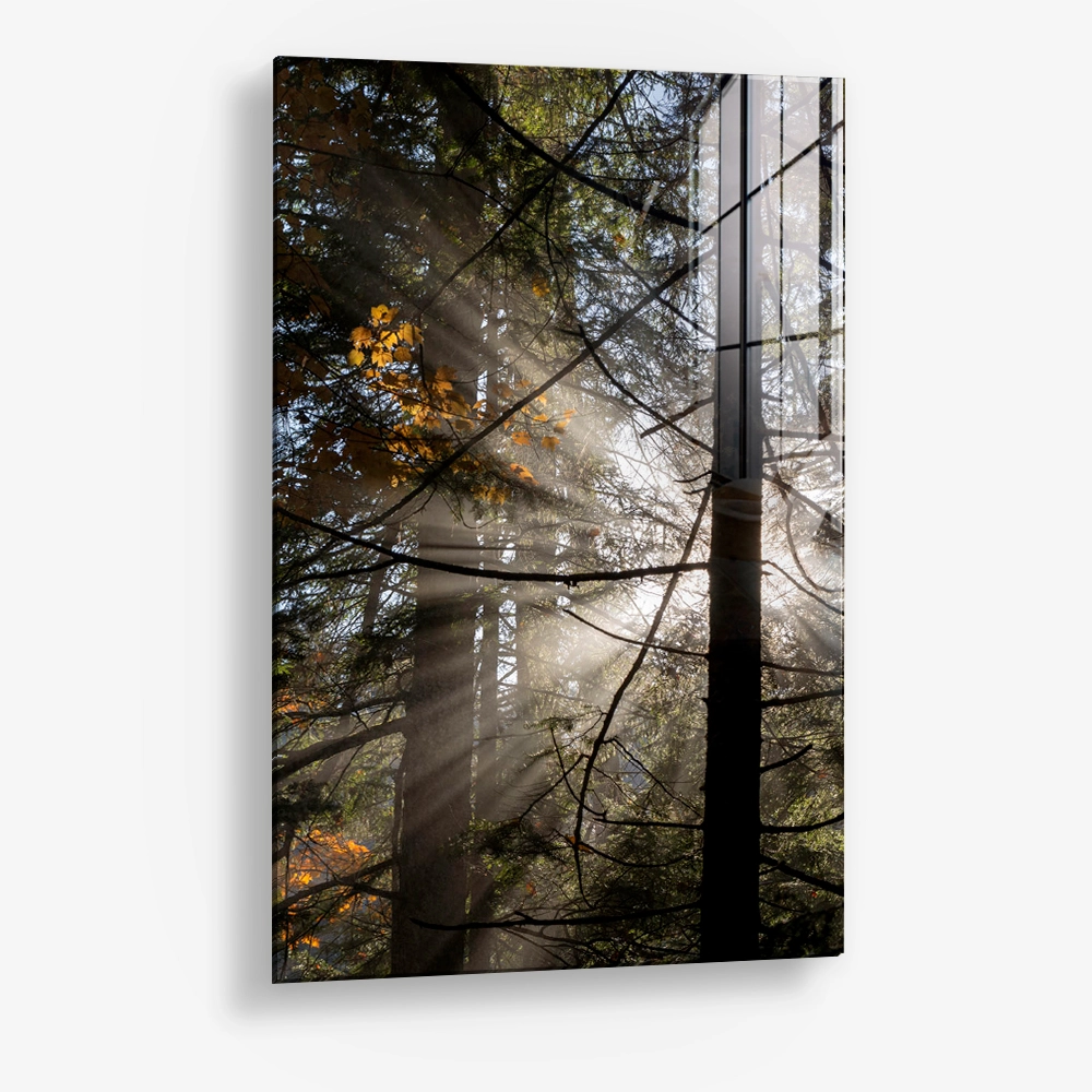 Line of Light – Vidrio