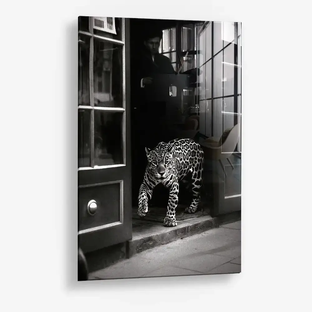 Urban Prowl – Vidrio