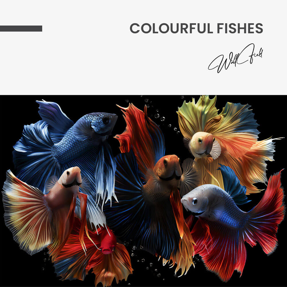 Colourful Fishes – Vidrio