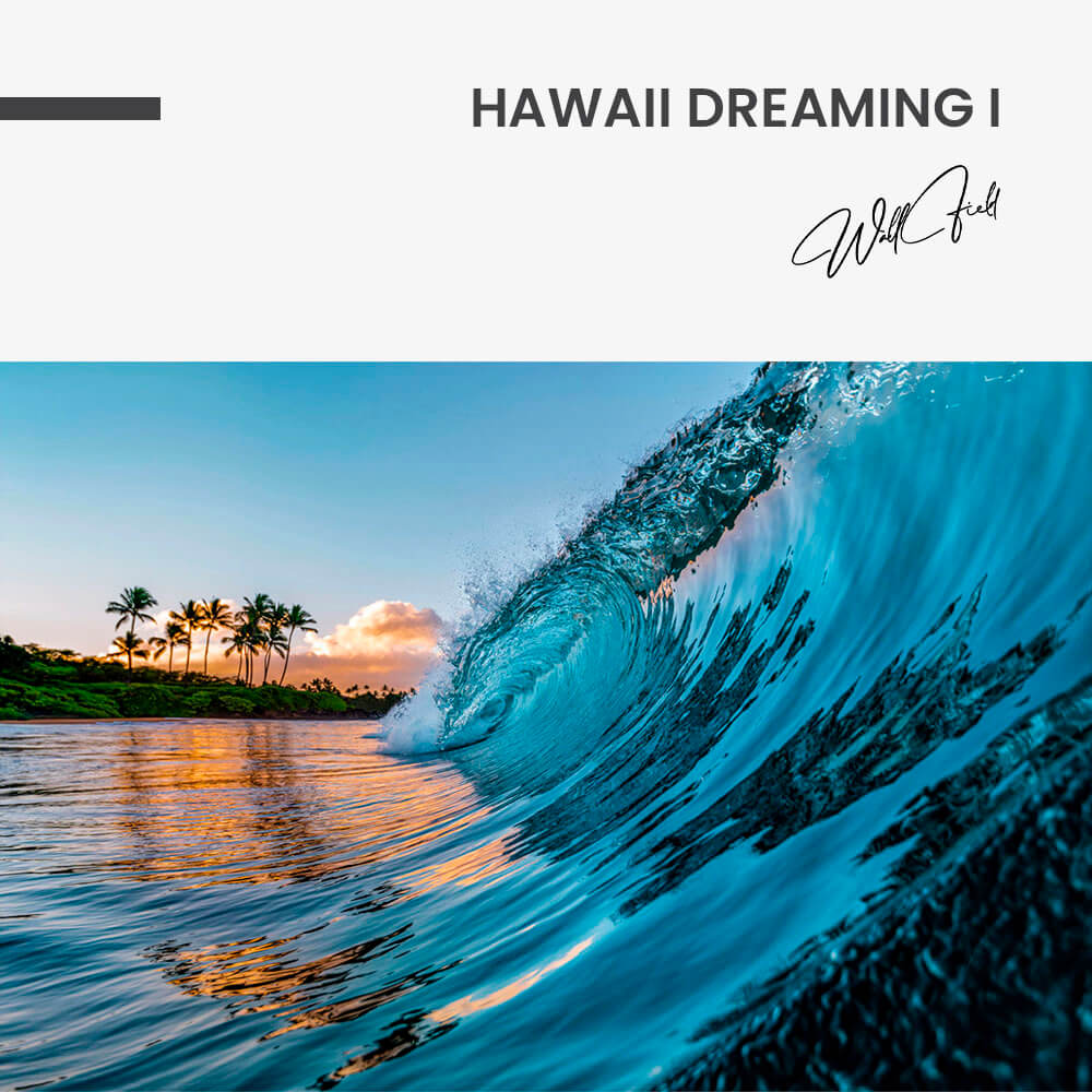 Hawaii Dreaming I – Vidrio