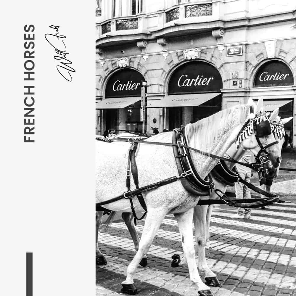 French Horses – Vidrio
