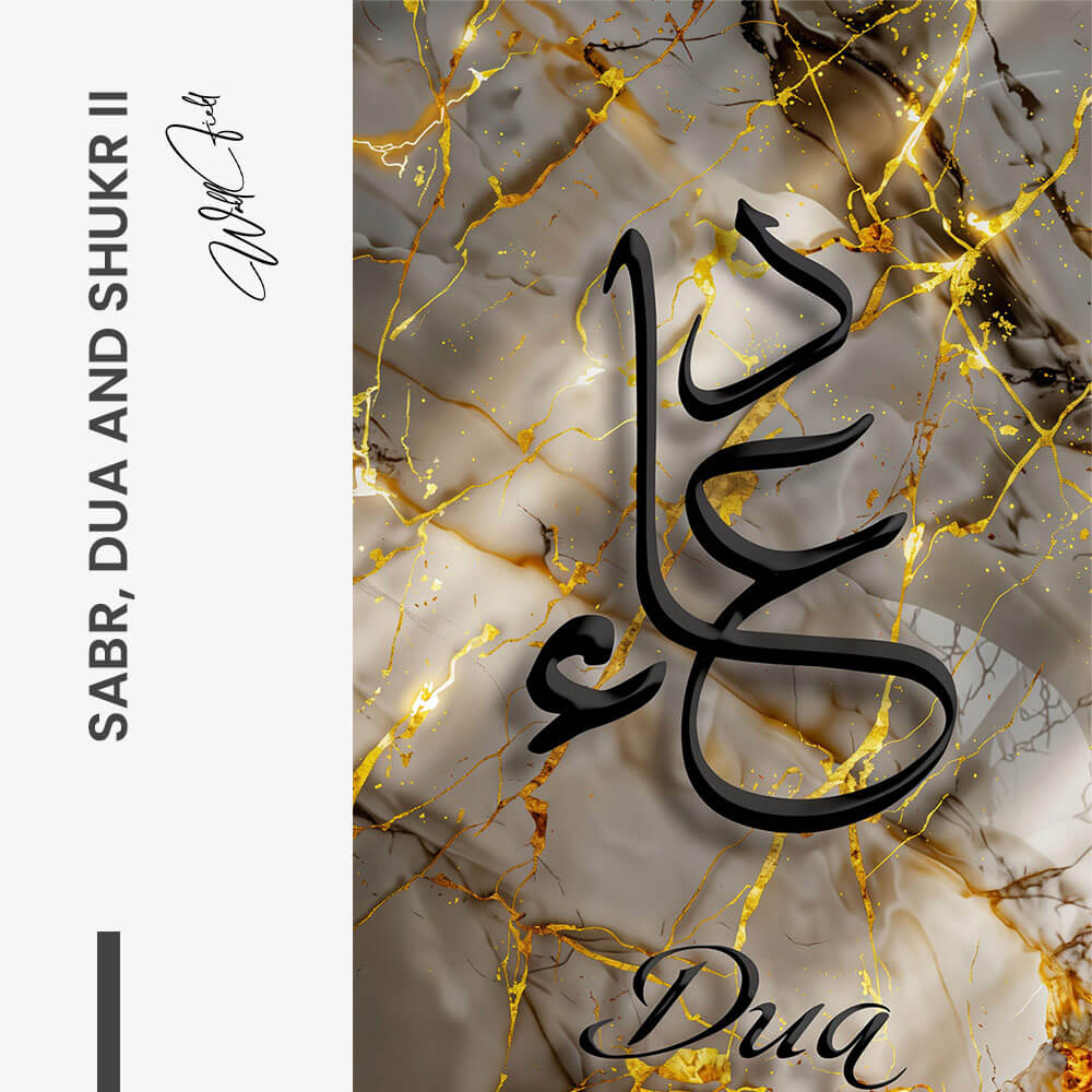 Bundle: "Sabr, Dua & Shukr" (3x)