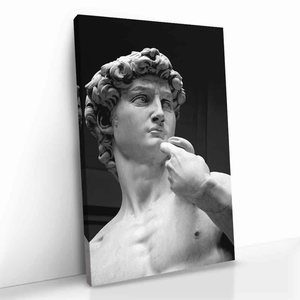 "David of Michelangelo"