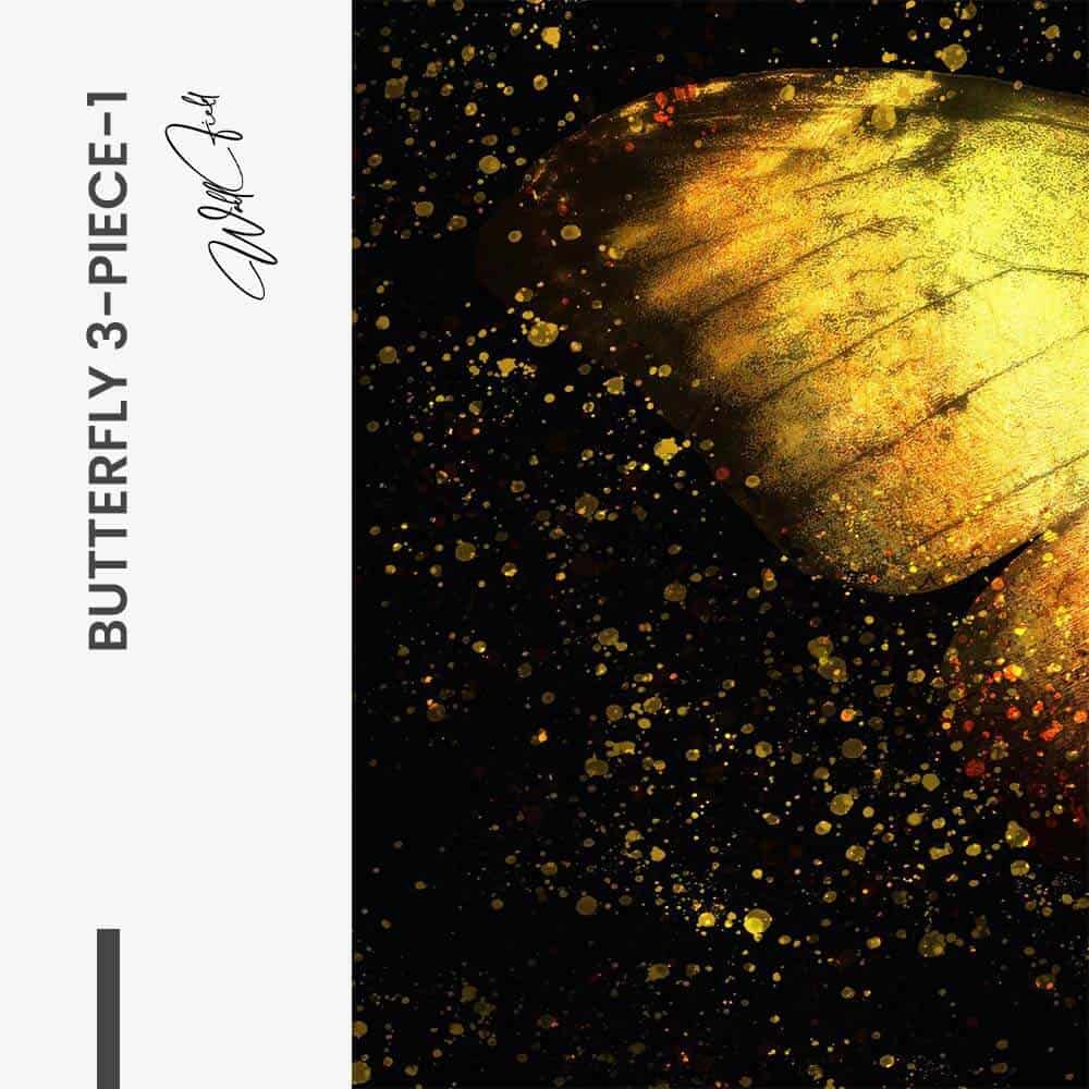 Bundle: "Butterfly 3-Piece" (3x) – Vidrio