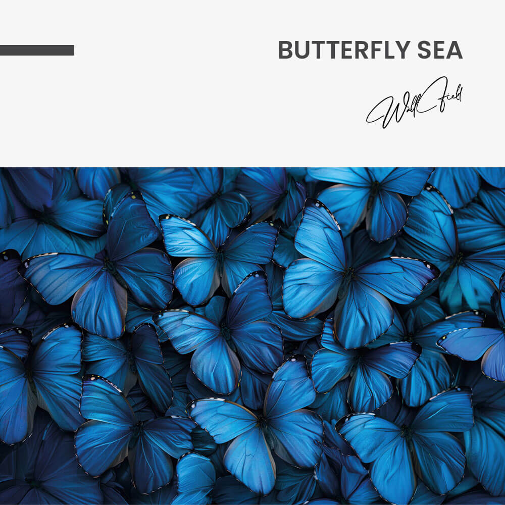 Butterfly Sea – Vidrio