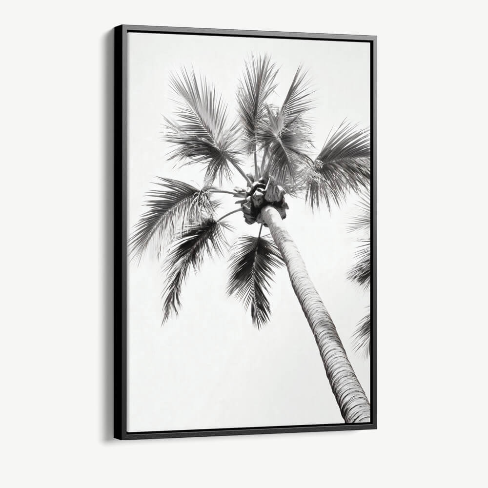 “Beachy Palm”