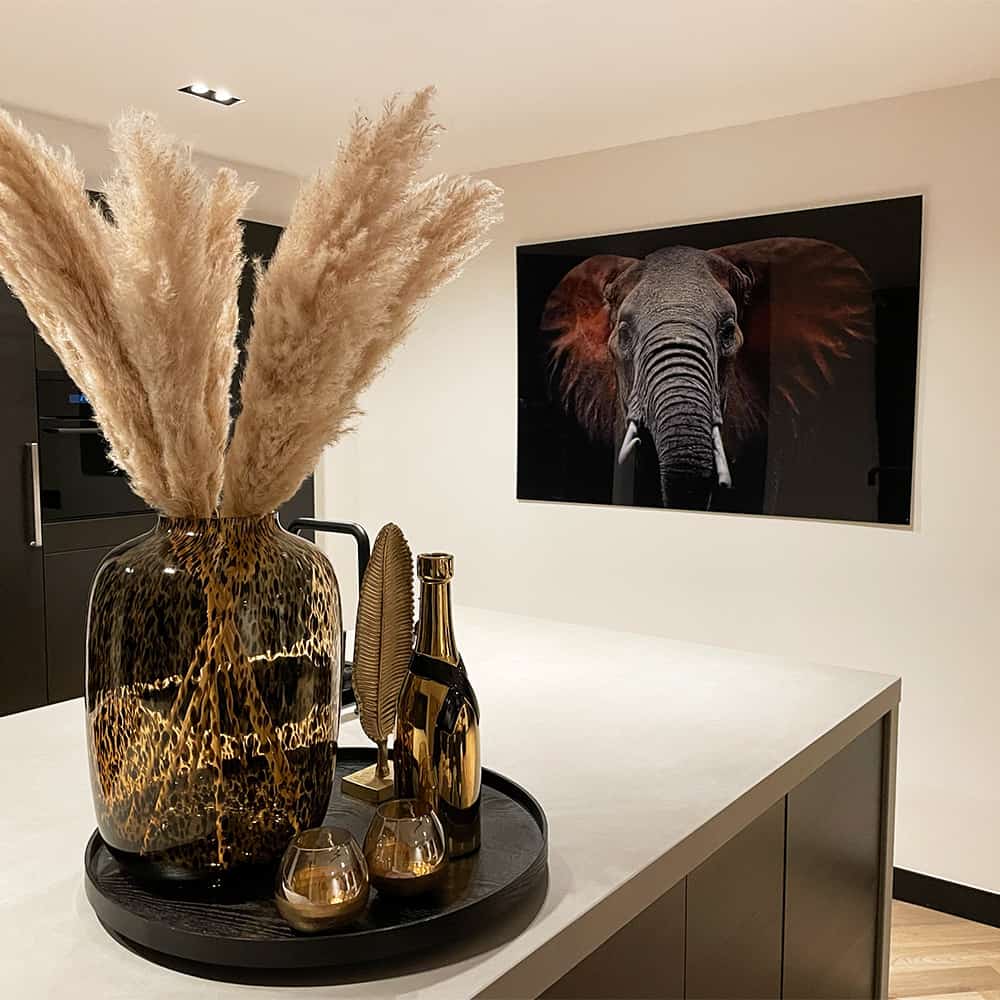 Wild Elephant – Vidrio