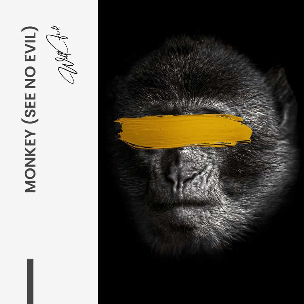 Bundle: “3 Wise Monkeys” (3x) - Vidrio