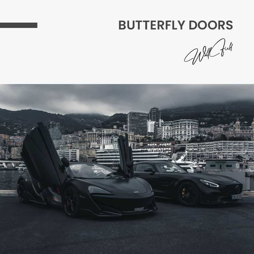 Butterfly Doors - Vidrio