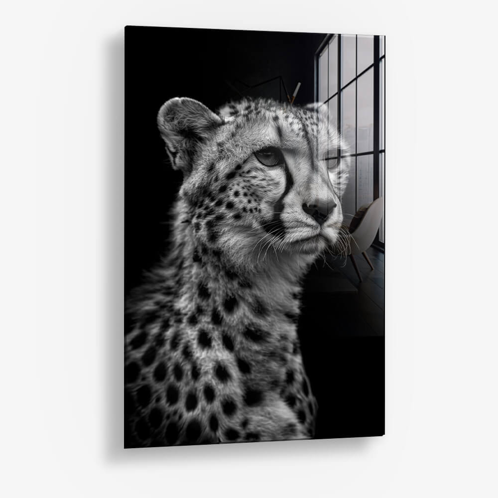 Cheetah's View – Vidrio
