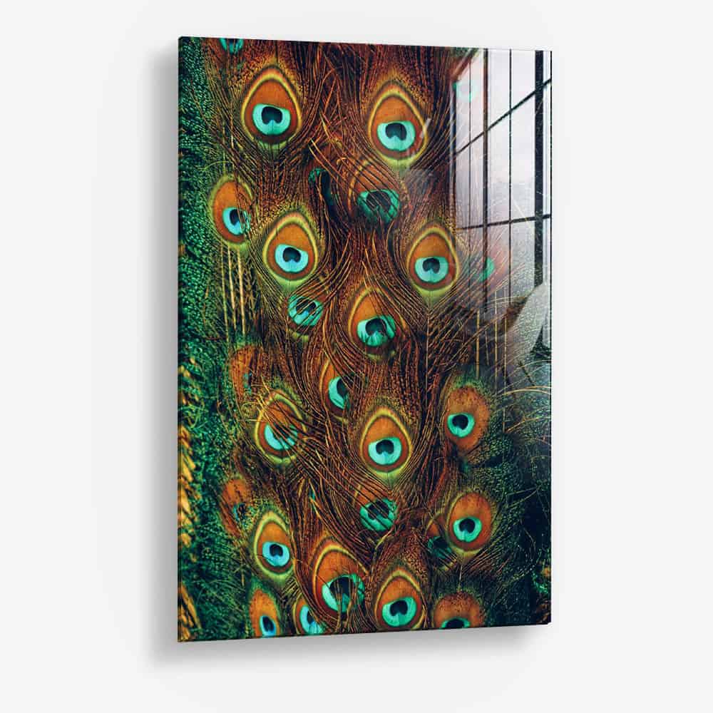 Peacock Feathers – Vidrio