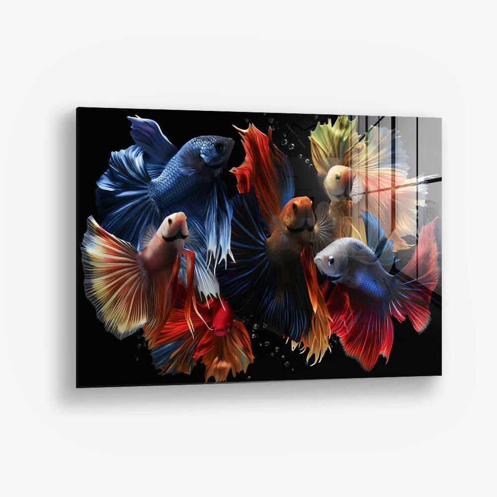 Colourful Fishes – Vidrio