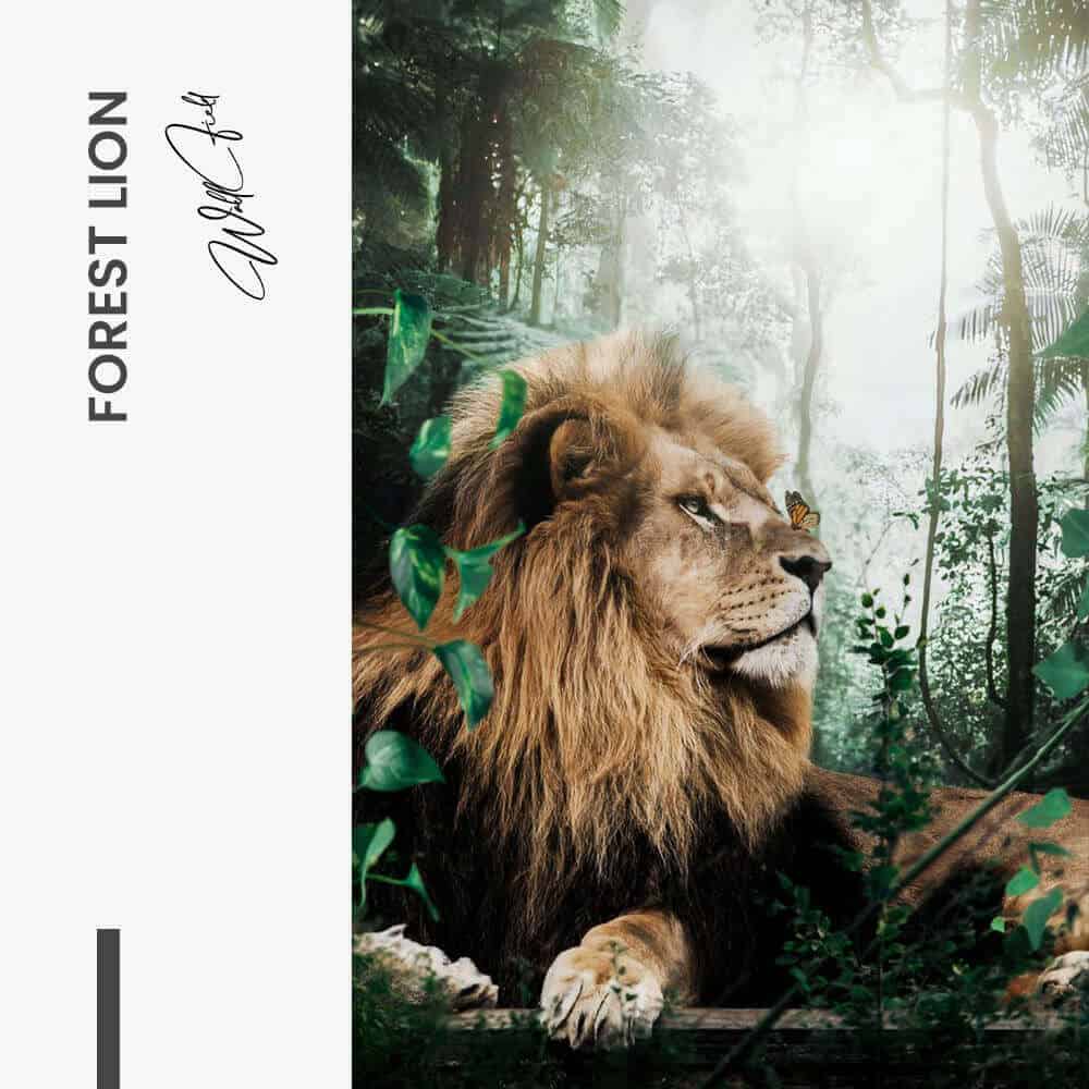 Forest Lion - Vidrio