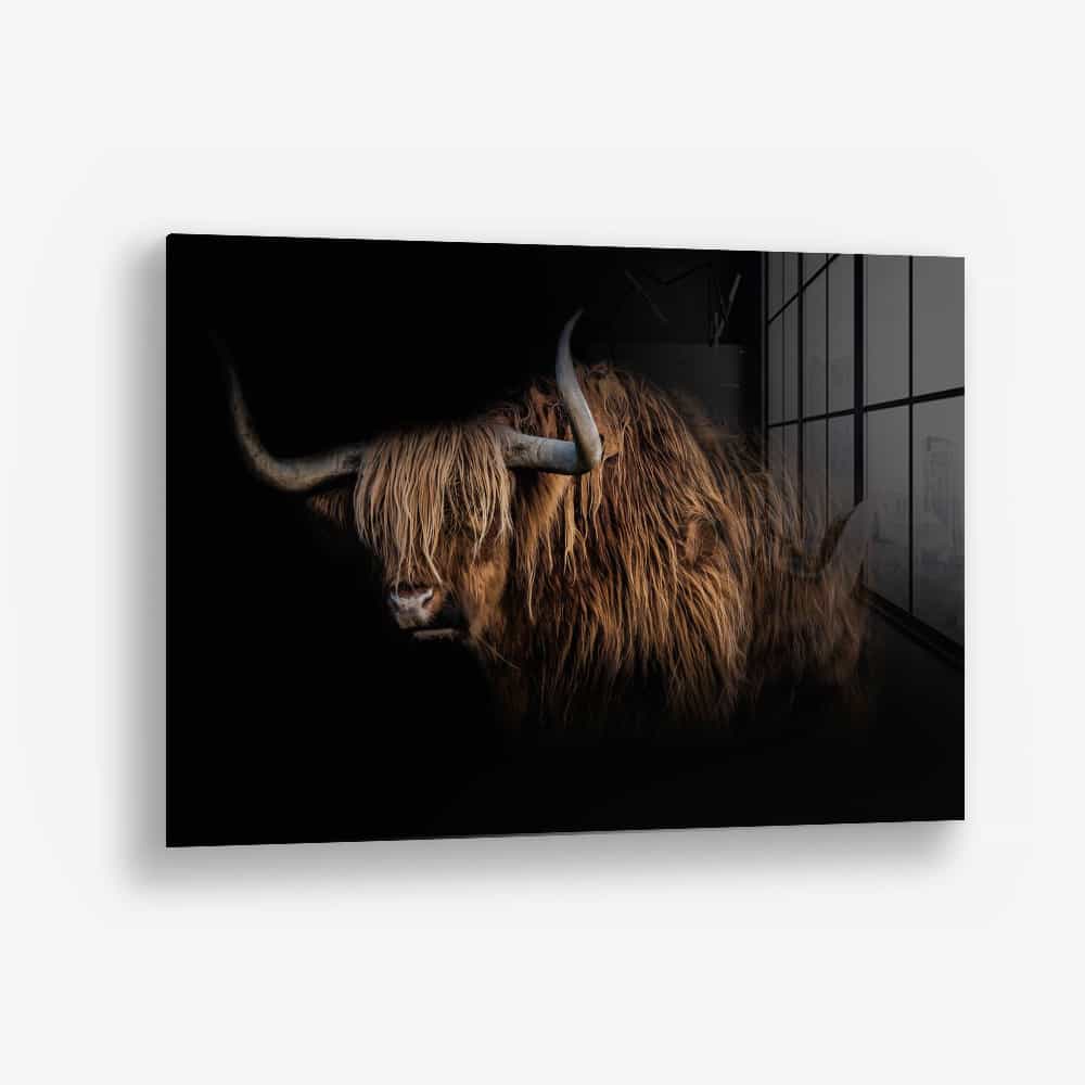 Highlander – Vidrio