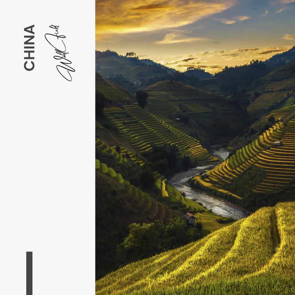 China - Vidrio