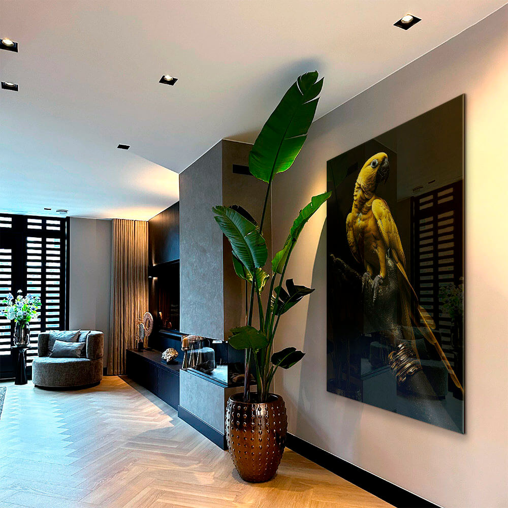 Golden Parrot – Vidrio