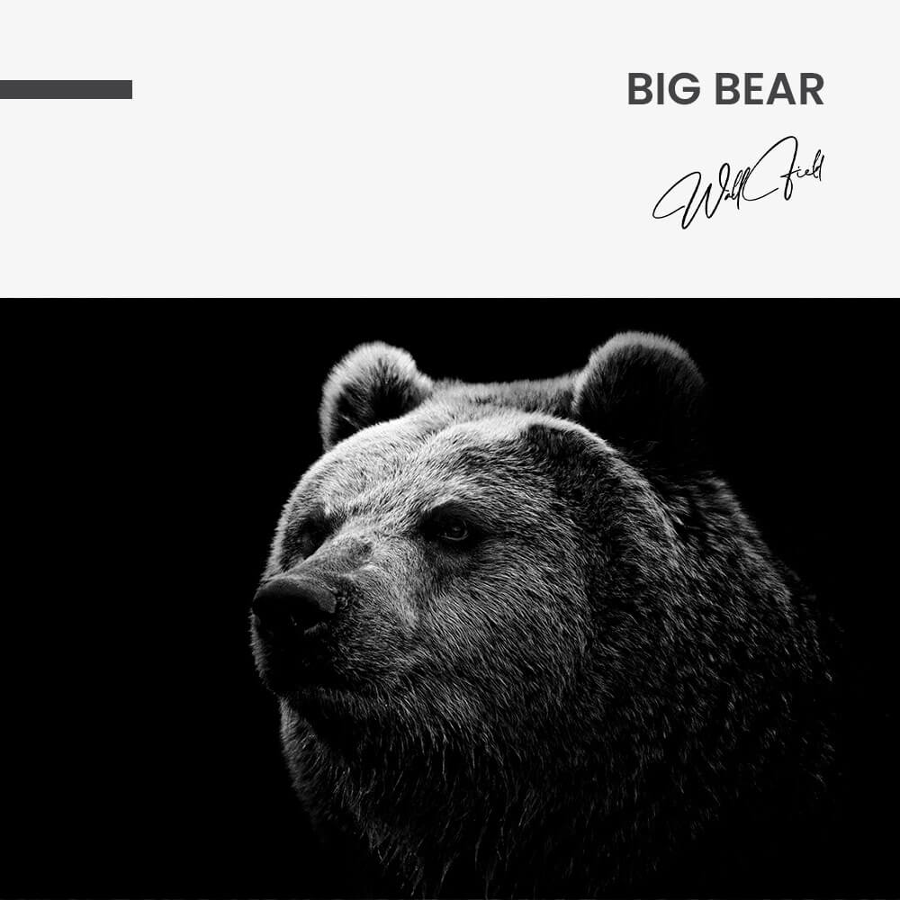 Big Bear – Vidrio