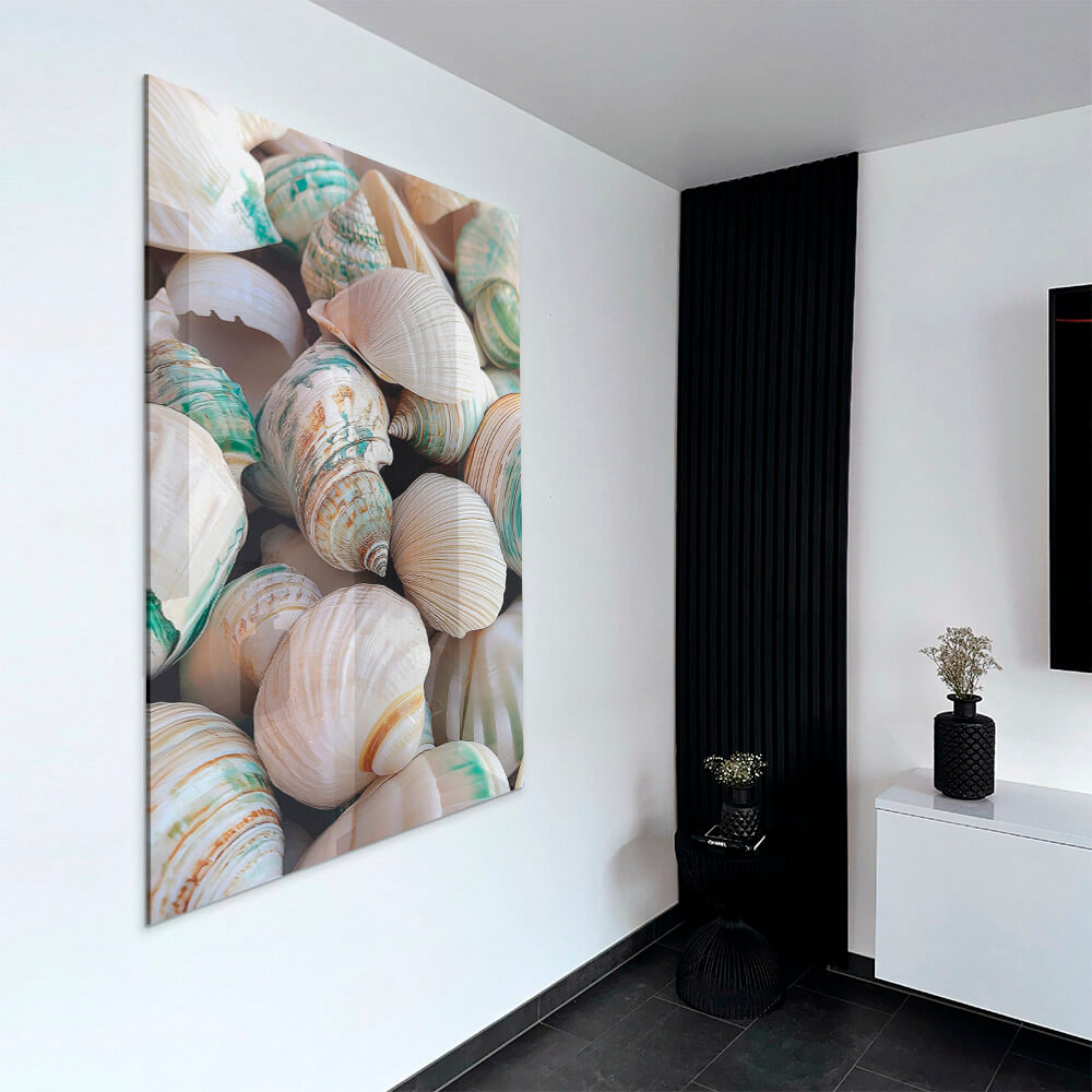 Sea Shell – Vidrio