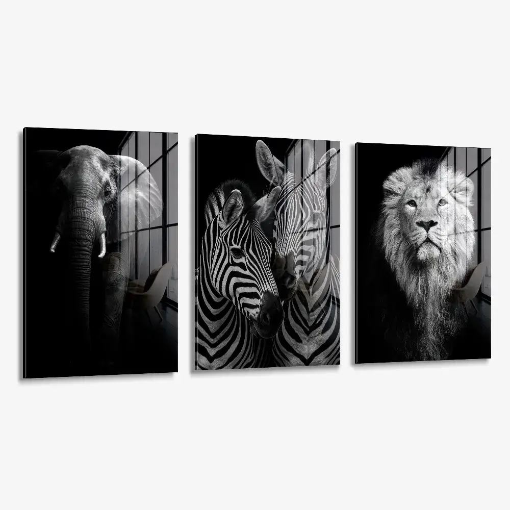 Bundle: "Safari" (3x) – Vidrio