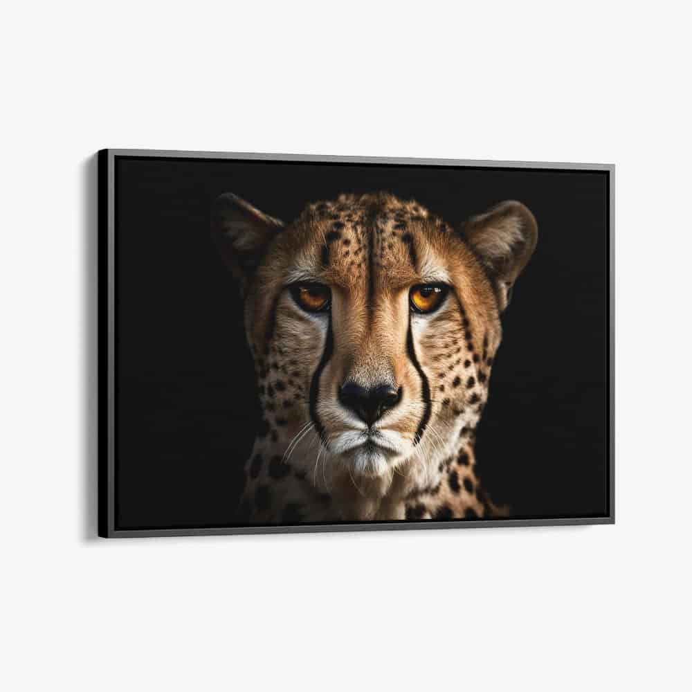 "The Cheetah"