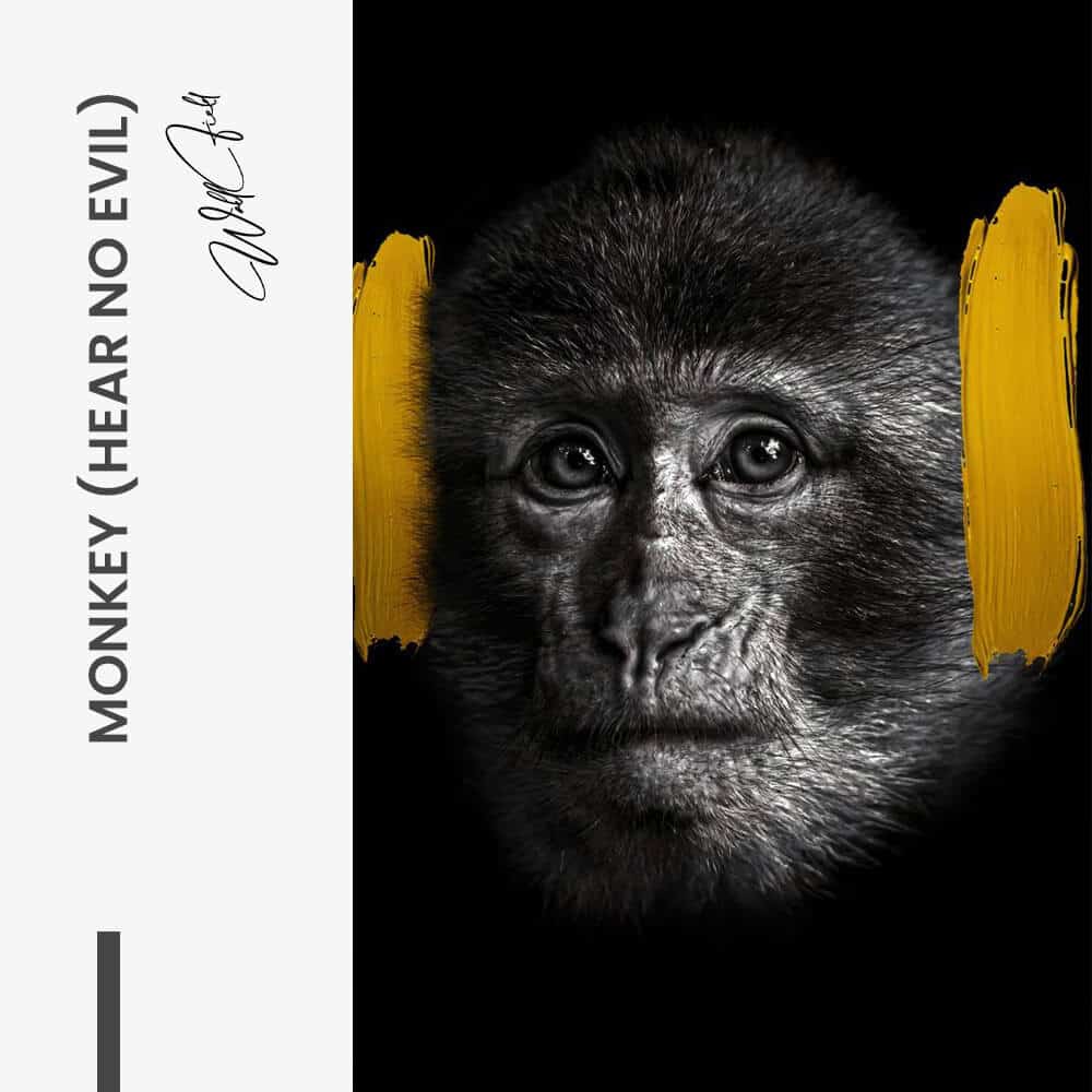 Monkey (hear no evil) - Vidrio