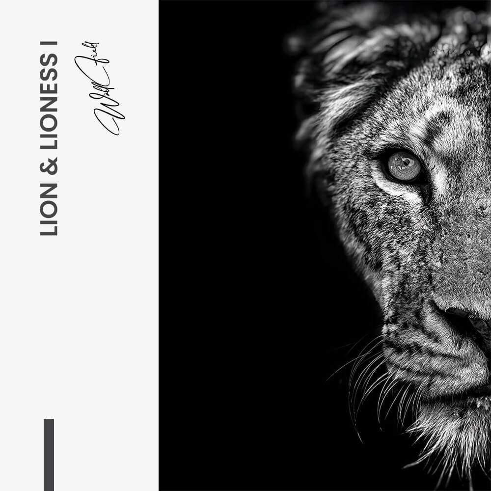 Bundle: "Lion & Lioness III" (2x) – Vidrio