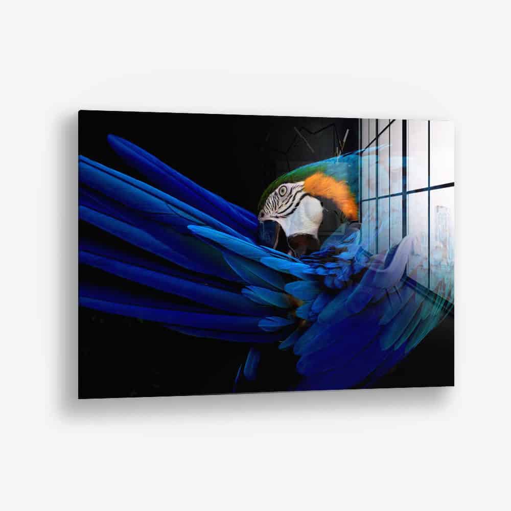 The Parrot – Vidrio