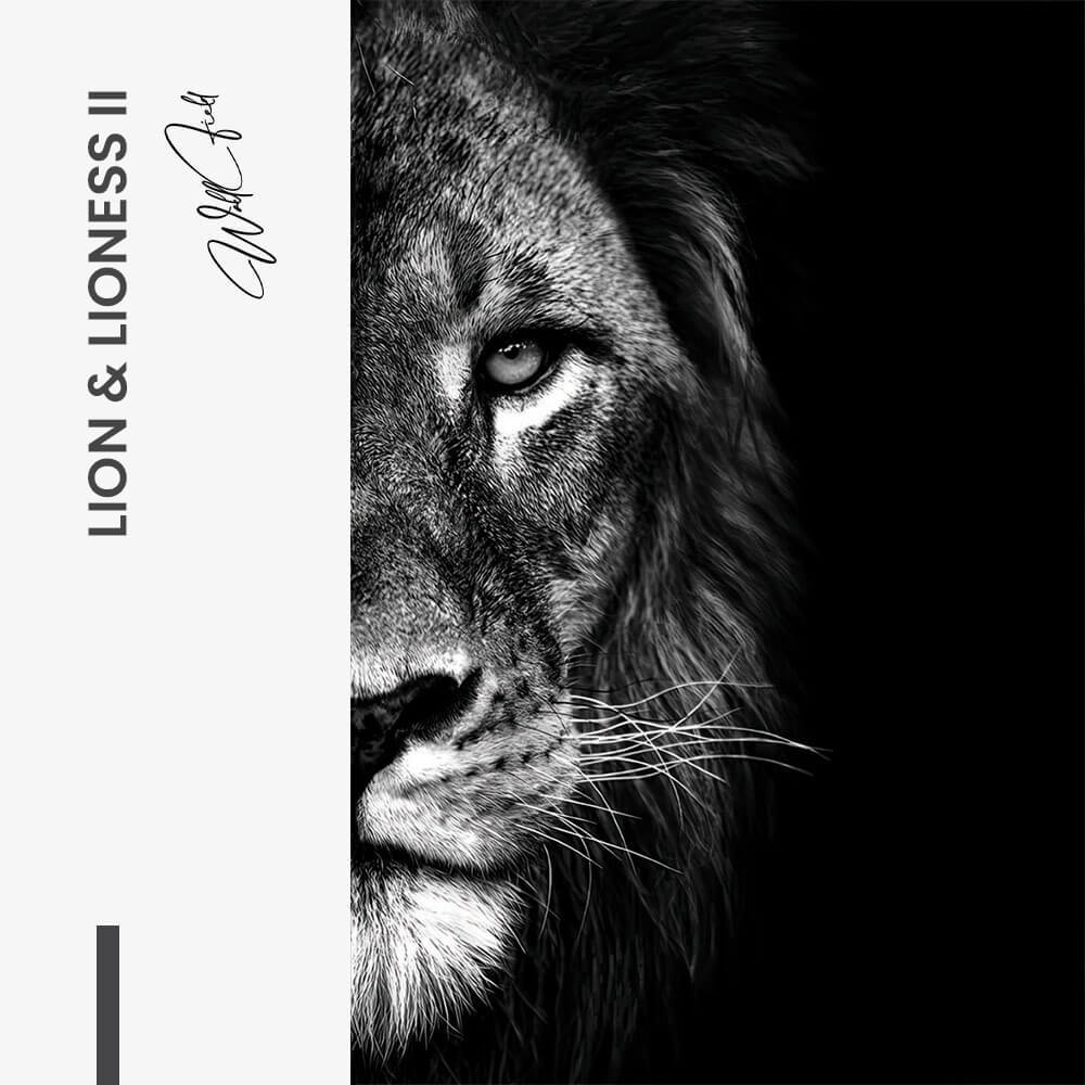 Bundle: "Lion & Lioness III" (2x) – Vidrio