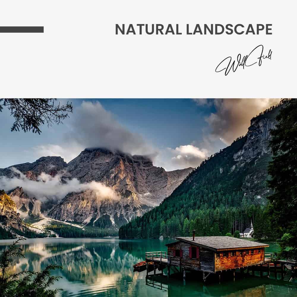 Natural Landscape – Vidrio