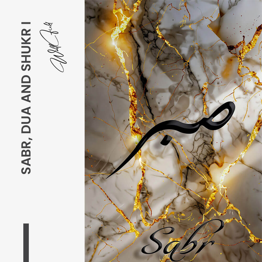 Bundle: "Sabr, Dua & Shukr" (3x)