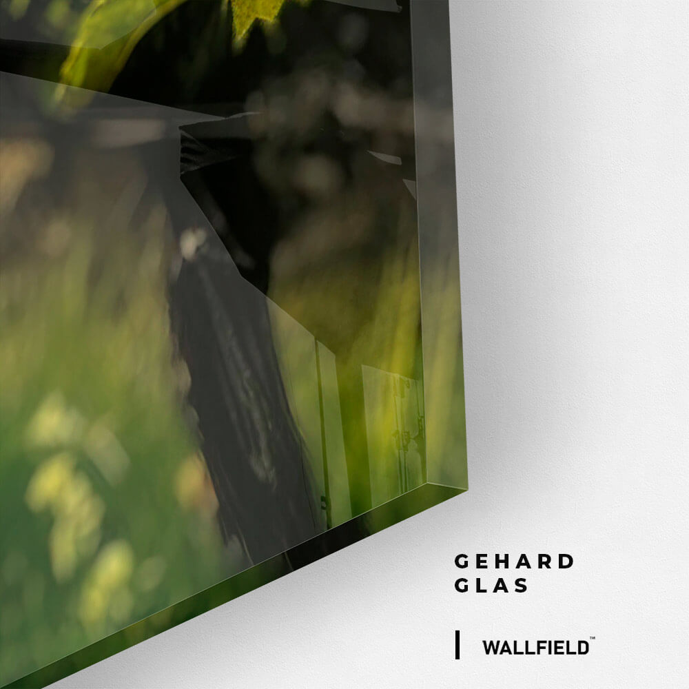 Vineyard Sun – Vidrio